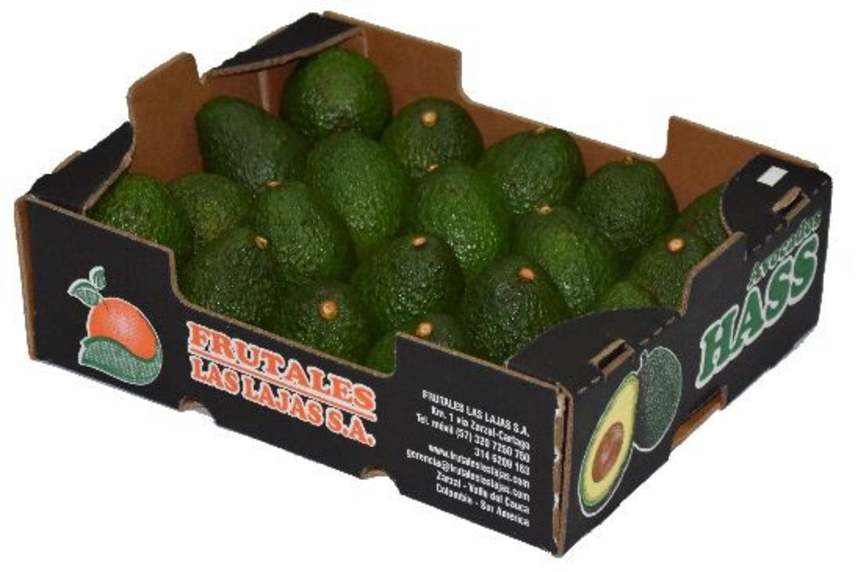 Caja de Aguacate Hass. 5 kilos de autenticos aguacates de valencia - 2
