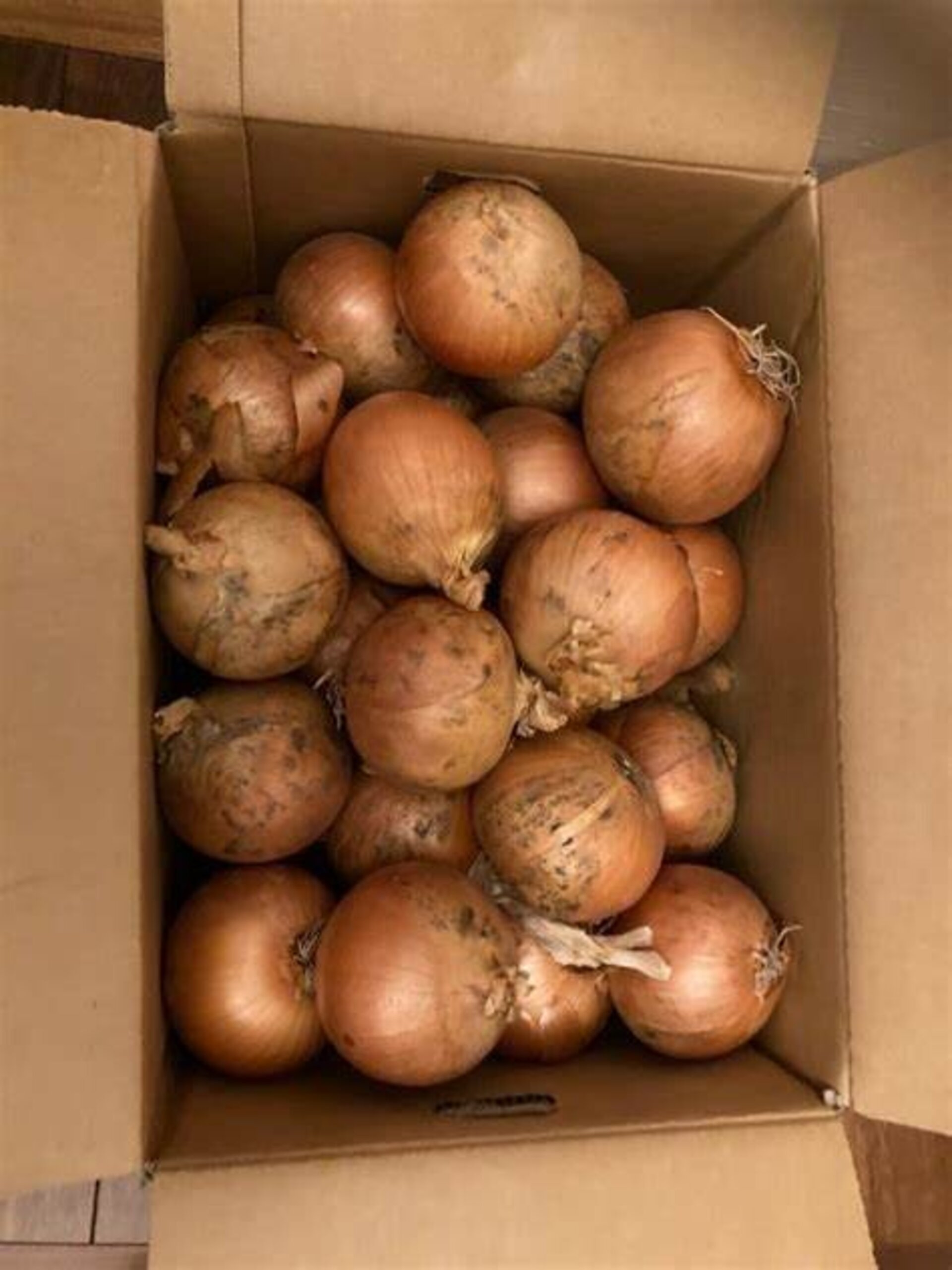 Caja cebolla seca  Cosecha de Sabor en Cada Capa: Descubre Nuestra Caja d - 2