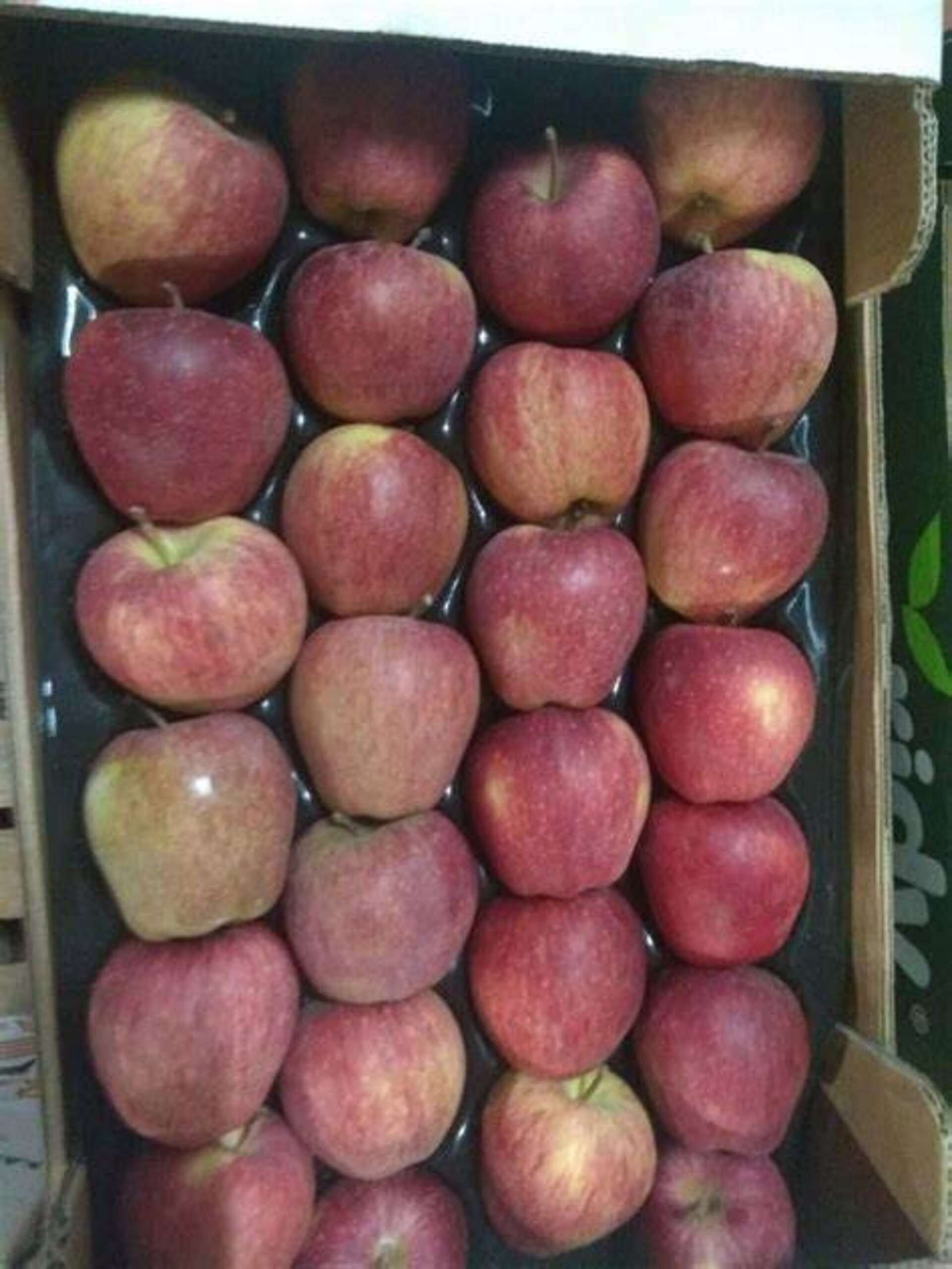 Manzana roja royal gala caja de 10 kilos - 3