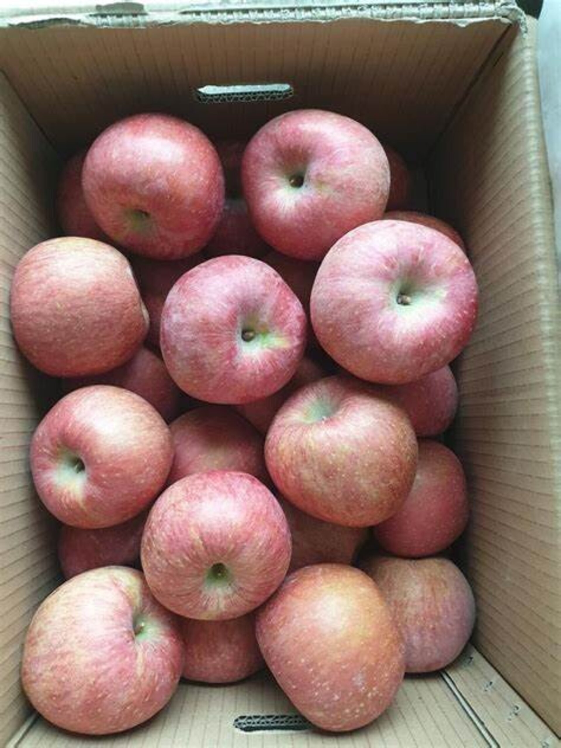 Manzana roja royal gala caja de 10 kilos - 2